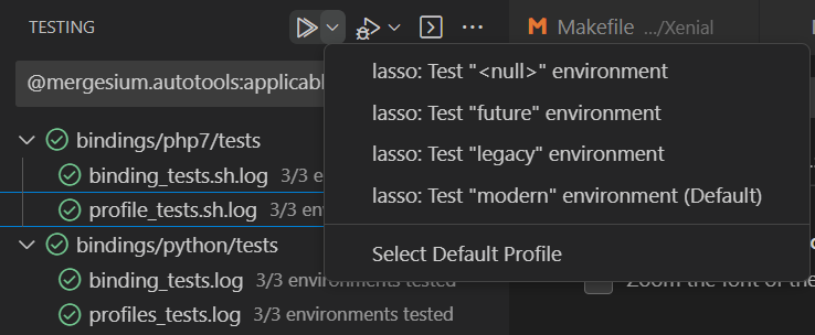 Test Environments in Test Explorer